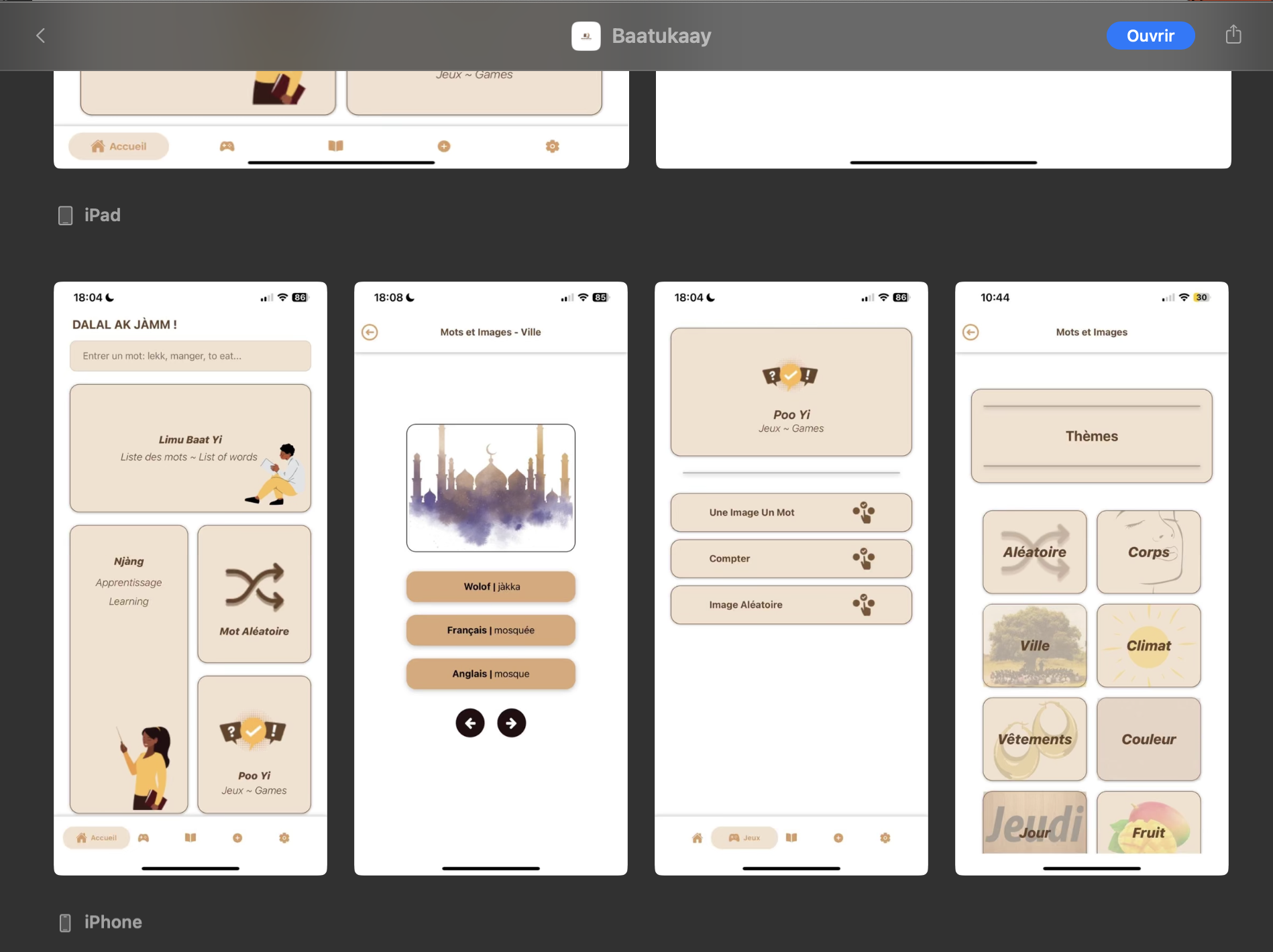 Image du projet Application Mobile Baatukay